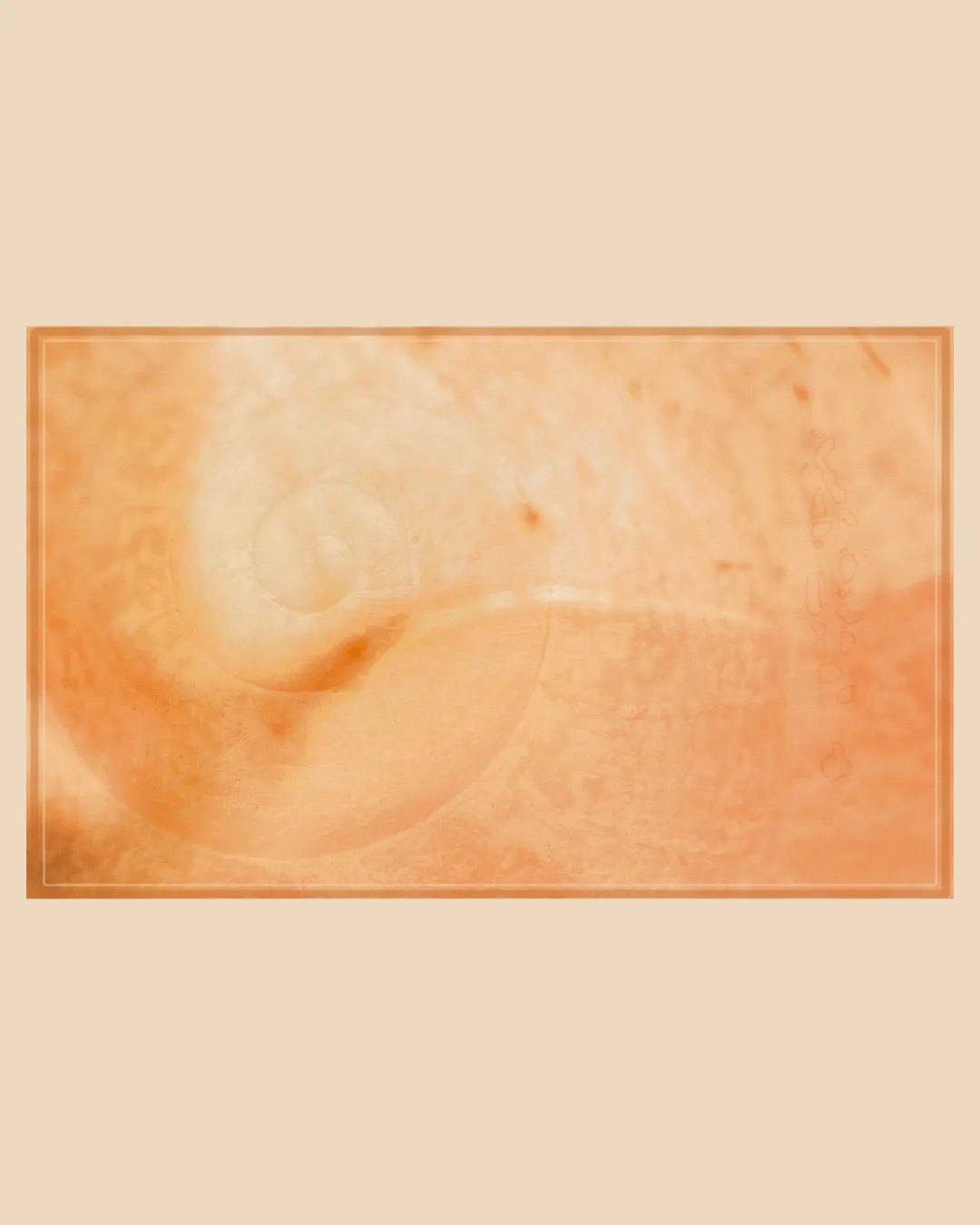 Conch Sarong