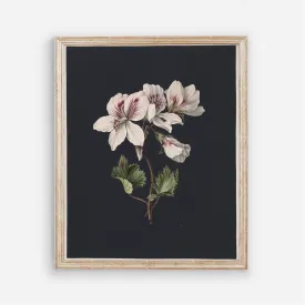 Flowers on Black 2 - Vintage Floral Wall Art