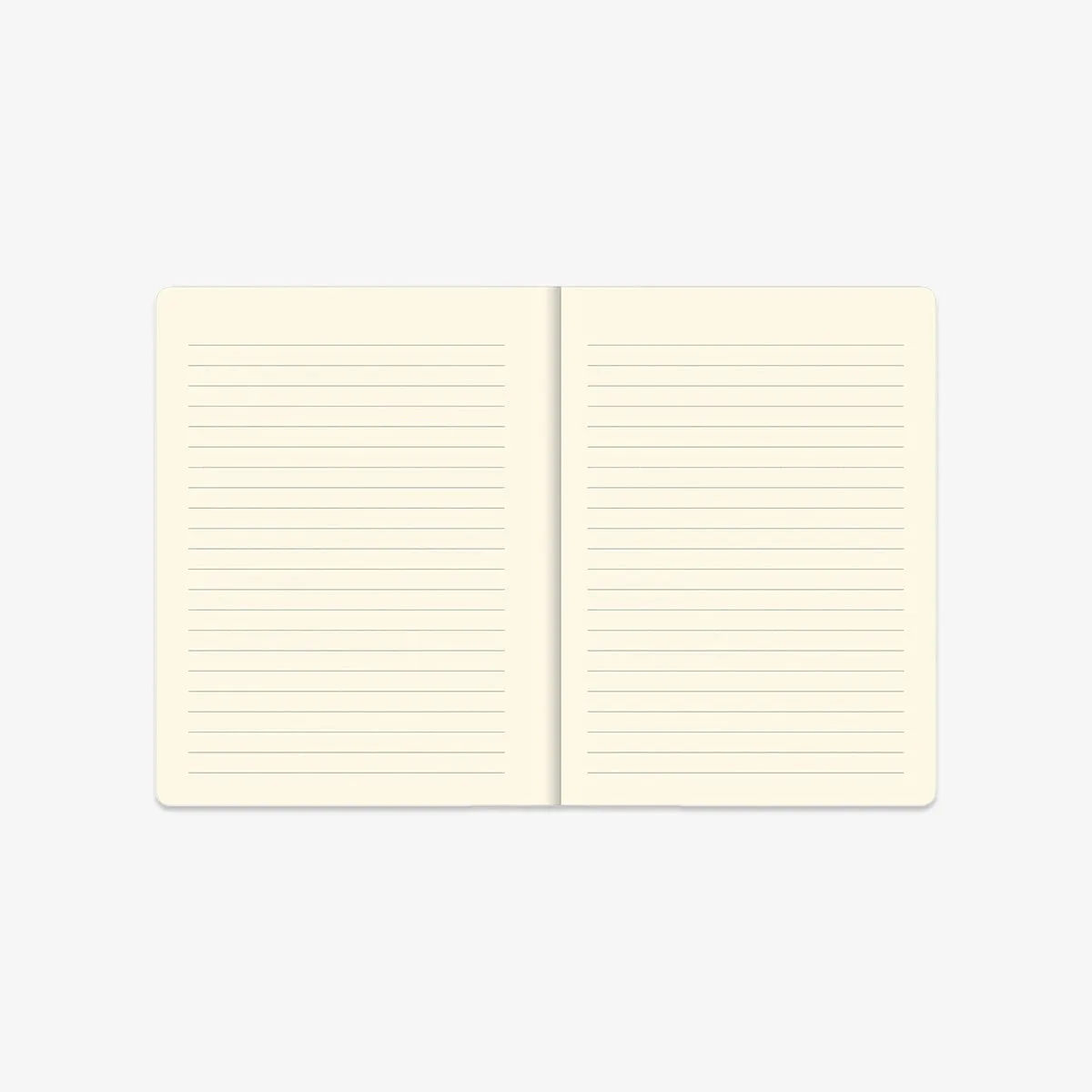 JOURNAL // CATS